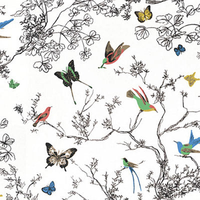 SCHUMACHER FABRICS -174760-BIRDS & BUTTERFLIES