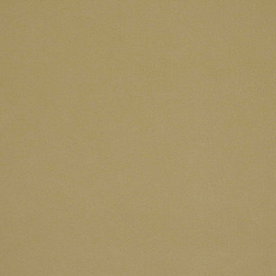 Robert Allen Fabrics Fabrics -ULTRASUEDE-HP54 | BEACH