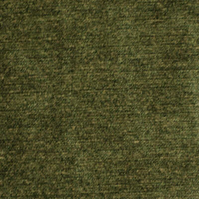 Robert Allen Fabrics Fabrics -ILLUMINA | SAGE