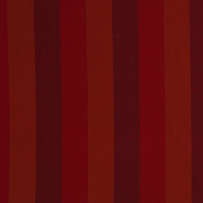 Robert Allen Fabrics Fabrics -PALMEIRO | BERRY