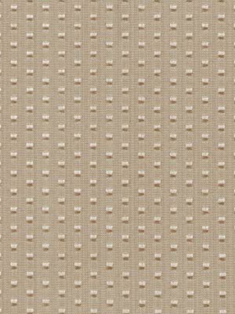 Robert Allen Fabrics Fabrics -Chouest | Alabaster
