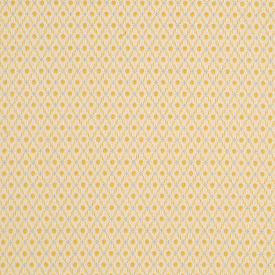 Beacon Hill Fabrics Fabrics -Elegant Trelis | Golden Blue