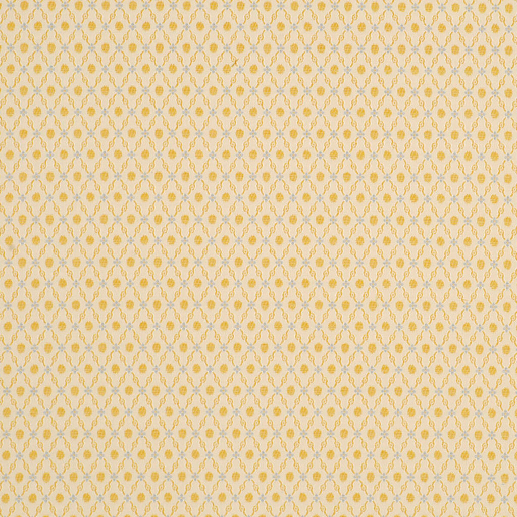 Beacon Hill Fabrics Fabrics -Elegant Trelis | Golden Blue