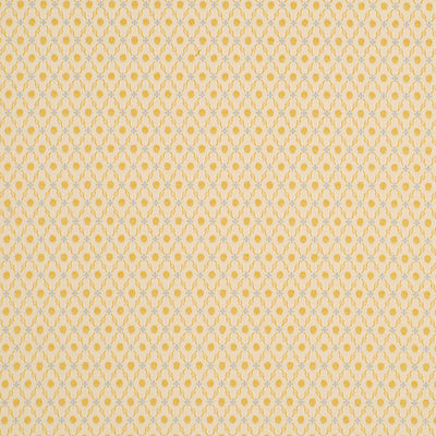 Beacon Hill Fabrics Fabrics -Elegant Trelis | Golden Blue