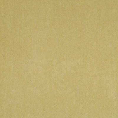 Robert Allen Fabrics Fabrics -Bradenburg | Sprout