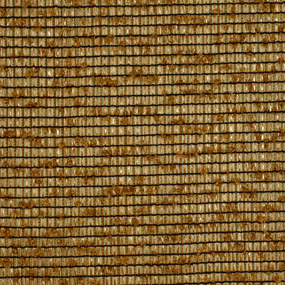 Robert Allen Fabrics Fabrics -HYALITE | GOLDEN
