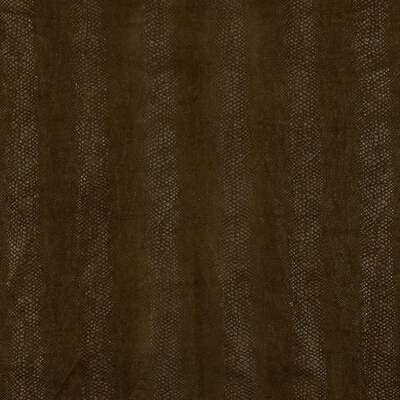 Robert Allen Fabrics Fabrics -SUNRISE BLVD | HENNA
