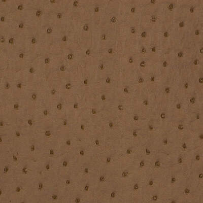 Robert Allen Fabrics Fabrics -HARVEST MOON | FAWN