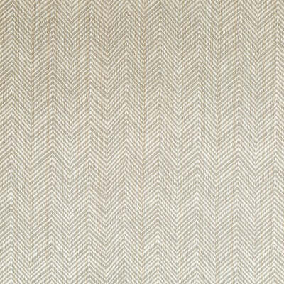 Robert Allen Fabrics Fabrics -PEAKING OUT | SLATE
