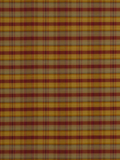 Robert Allen Fabrics Fabrics -Plaid Mania | Goldenrod