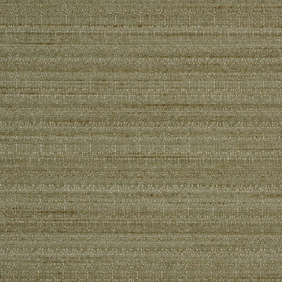 Robert Allen Fabrics Fabrics -SNAZZY | PLATINUM