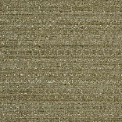 Robert Allen Fabrics Fabrics -SNAZZY | PLATINUM