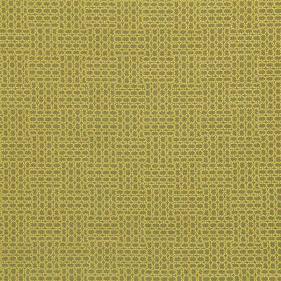 Robert Allen Fabrics Fabrics -LINKED GEO | CITRON