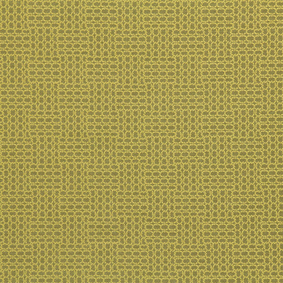 Robert Allen Fabrics Fabrics -LINKED GEO | CITRON