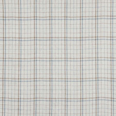 Robert Allen Fabrics Fabrics -SWEET HONESTY | SURF