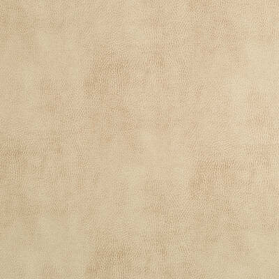 Robert Allen Fabrics Fabrics -NUBUCKSTON | BUFF