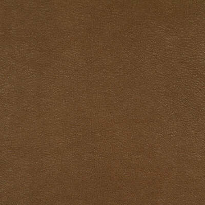 Robert Allen Fabrics Fabrics -BLAKE | BUCKWHEAT