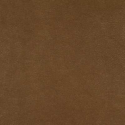 Robert Allen Fabrics Fabrics -BLAKE | BUCKWHEAT