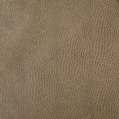 Robert Allen Fabrics Fabrics -DONGARY | SQUIRREL