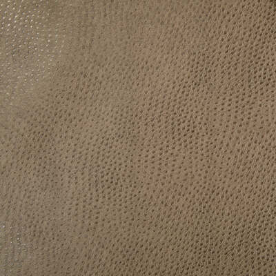 Robert Allen Fabrics Fabrics -DONGARY | SQUIRREL