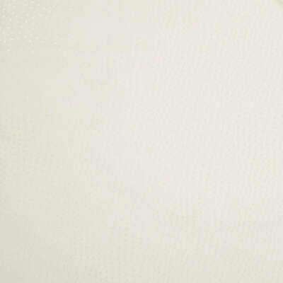 Robert Allen Fabrics Fabrics -DONGARY | BONE
