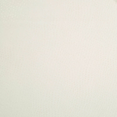 Robert Allen Fabrics Fabrics -DONGARY | BONE