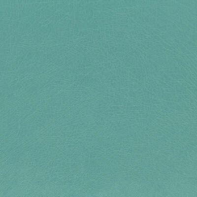 Robert Allen Fabrics Fabrics -BRUTUS | POOL