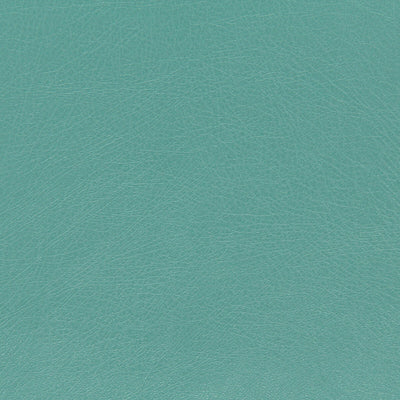 Robert Allen Fabrics Fabrics -BRUTUS | POOL