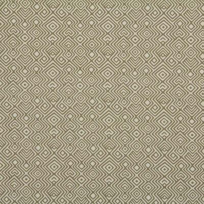Robert Allen Fabrics Fabrics -ASHA | TOFFEE