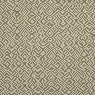 Robert Allen Fabrics Fabrics -ASHA | TOFFEE
