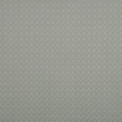 Robert Allen Fabrics Fabrics -RAISED CIRCLE | STONE