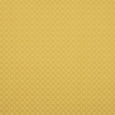 Robert Allen Fabrics Fabrics -RAISED CIRCLE | MARIGOLD