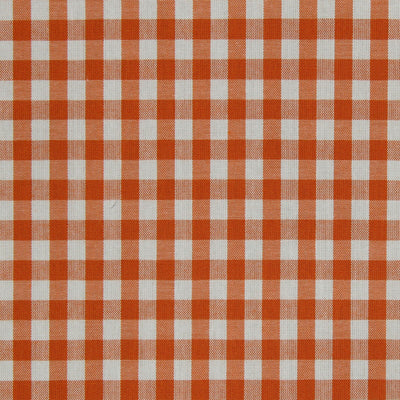 Robert Allen Fabrics Fabrics -Go Gingham | Watermelon