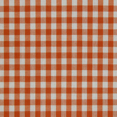 Robert Allen Fabrics Fabrics -Go Gingham | Watermelon
