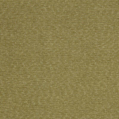 Robert Allen Fabrics Fabrics -CALLISBURG | FERN