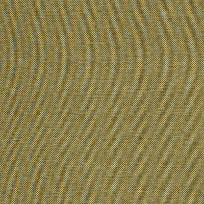 Robert Allen Fabrics Fabrics -CALLISBURG | FERN