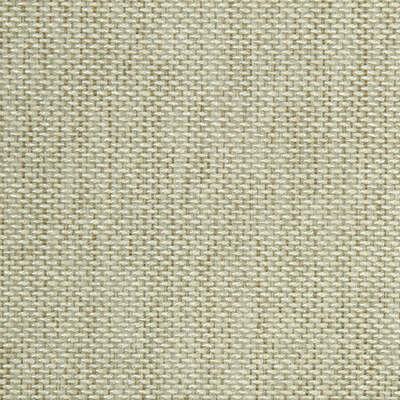 Robert Allen Fabrics Fabrics -Until Dawn | Prosecco
