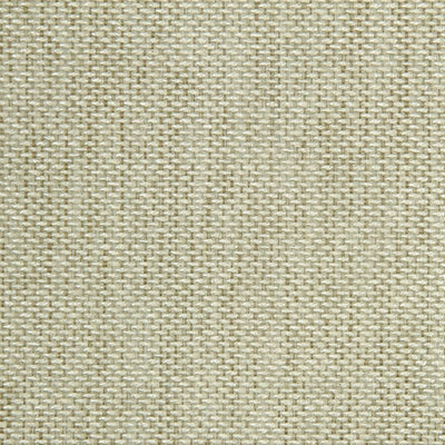 Robert Allen Fabrics Fabrics -Until Dawn | Prosecco
