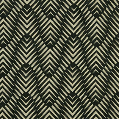 Robert Allen Fabrics Fabrics -ZEBRA GEO | INK