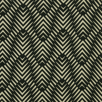 Robert Allen Fabrics Fabrics -ZEBRA GEO | INK