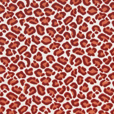 Beacon Hill Fabrics Fabrics -CHEETAH VELVET | CORAL