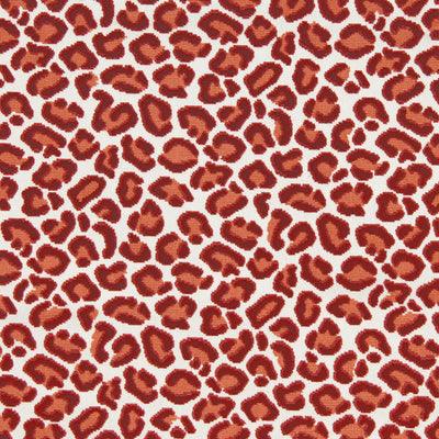 Beacon Hill Fabrics Fabrics -CHEETAH VELVET | CORAL