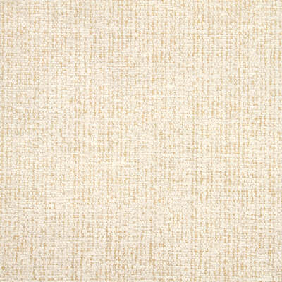 Robert Allen Fabrics Fabrics -GRAND CHENILLE | PALE CREAM