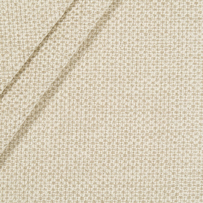 Robert Allen Fabrics Fabrics -GEM CHENILLE | PEARL
