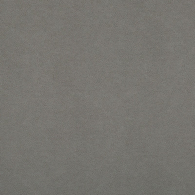 Robert Allen Fabrics Fabrics -AUBREY SOLID | PUMICE