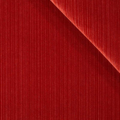 Robert Allen Fabrics Fabrics -PLUSH STRIE | CAYENNE