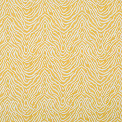 Robert Allen Fabrics Fabrics -HIGH RUN | SUNRAY