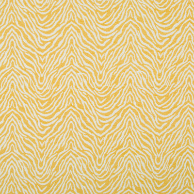 Robert Allen Fabrics Fabrics -HIGH RUN | SUNRAY