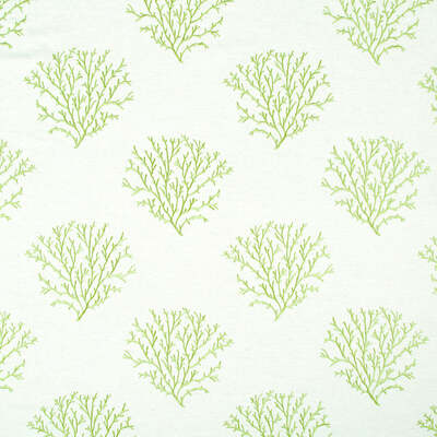 Robert Allen Fabrics Fabrics -SEACREST SHORE | SPRING GRASS