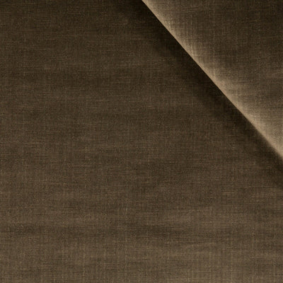 Robert Allen Fabrics Fabrics -STRIE VELVET | TRUFFLE